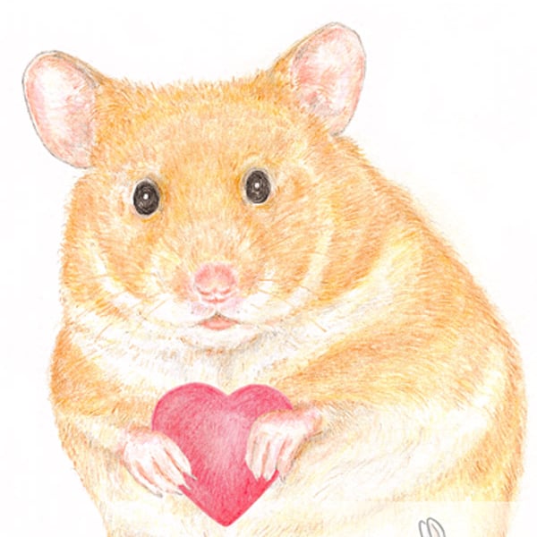 Daisy the Hamster - Mother's Day Card