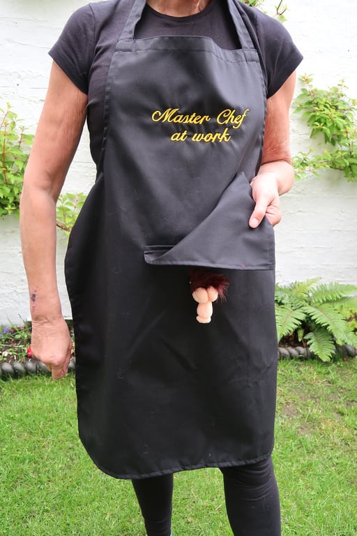 Christmas Secret Willy apron mens , Kitchen ,novelty, embroidered with 6 slogans