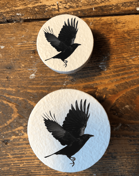 Handmade Crow Raven Rook Corvus bird pine door knobs wardrobe drawer handles 