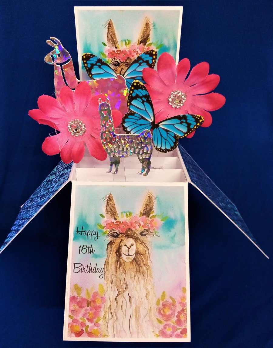 Young Ladies 16th Birthday Card with Llamas