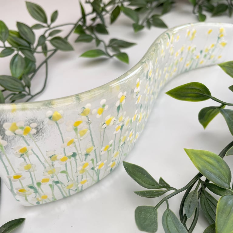 Fused glass hand painted White Summer Daisy floral Curve