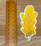 Yellow Oak Leaf Sticker - Image 3
