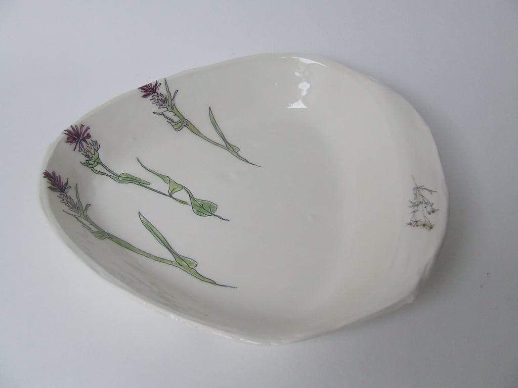 The Triangular Dish - Found in the Forest