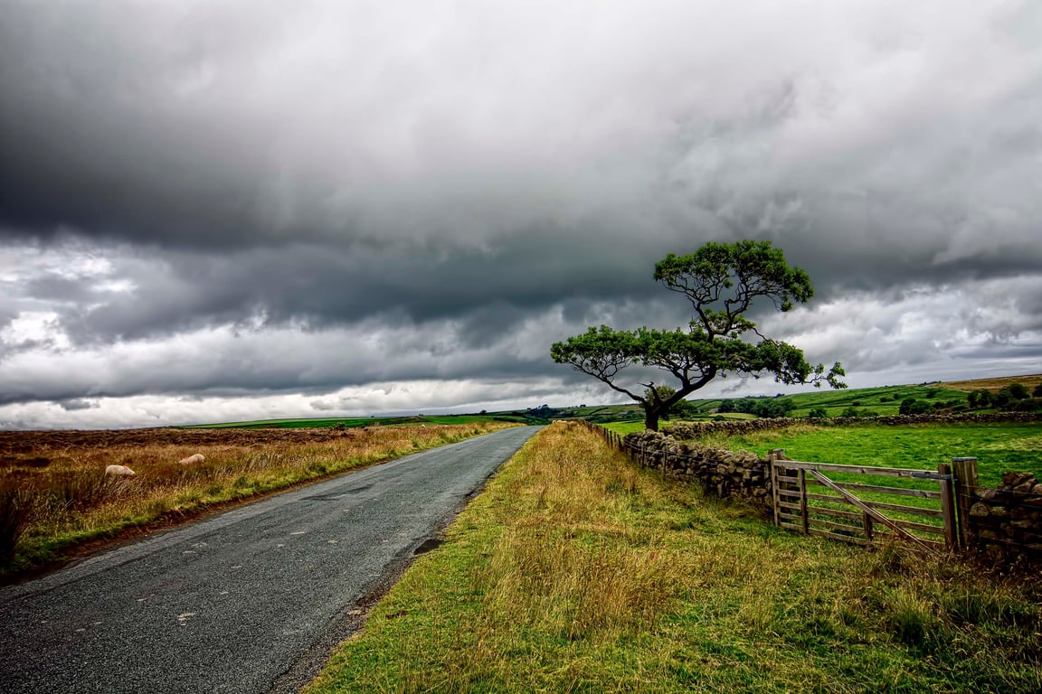 The road ahead print