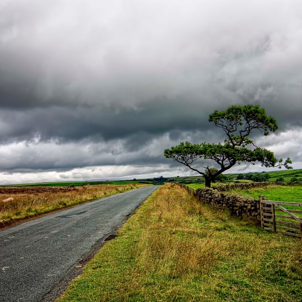 The road ahead print