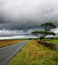 The road ahead print - Image 1