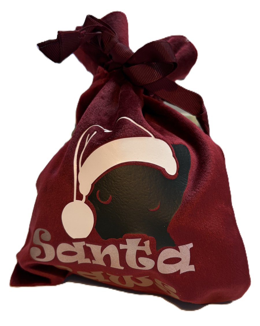 Santa Paws- Gift Bag