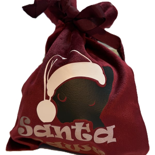 Santa Paws- Gift Bag
