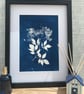 Botanical Art, Original Art, Elderflower. - Image 4