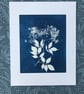 Botanical Art, Original Art, Elderflower. - Image 3