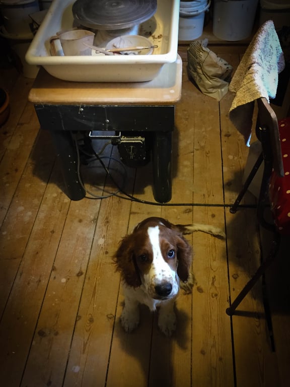 Tigger Craft Ceramics