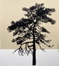 Ashdown Pine no.59, Original artwork, A4 size, hand painted, yellow - Image 2