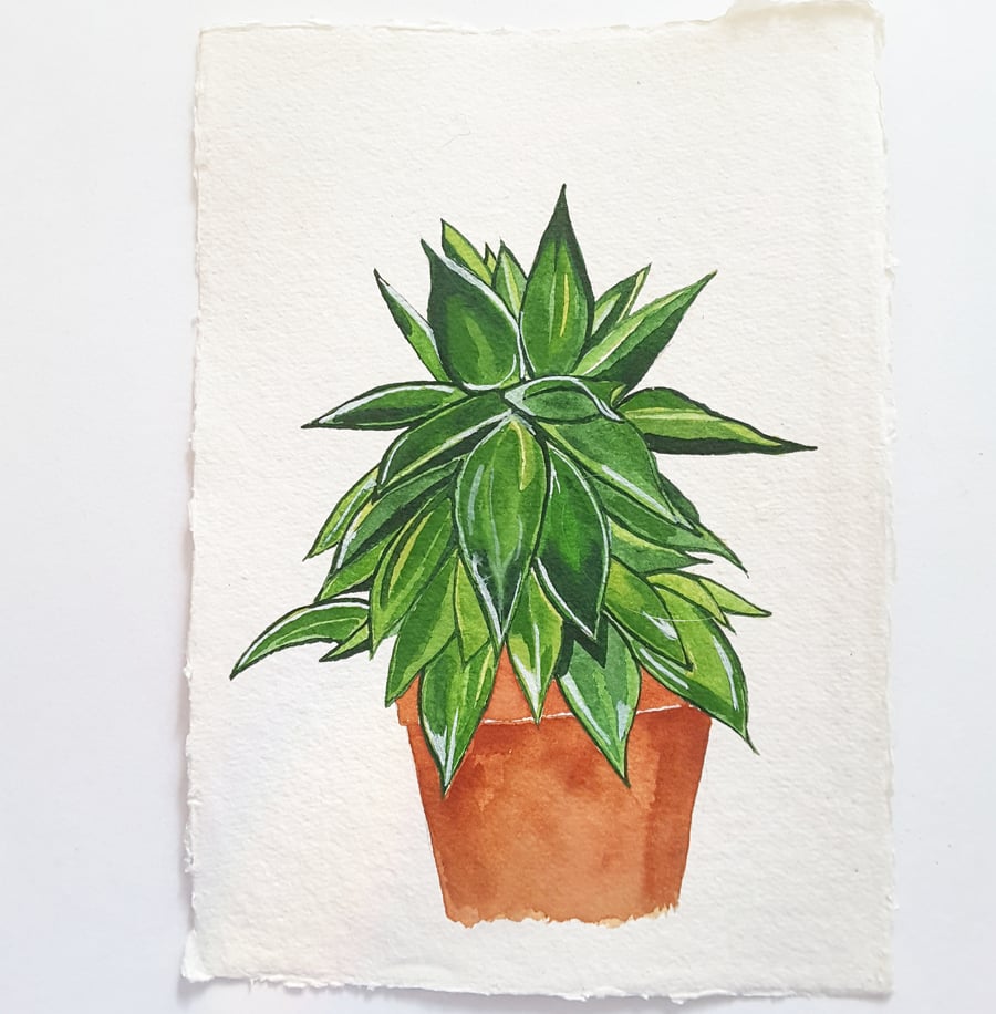 SALE Watercolour Succulent House Plant  Painting on A5 Khadi Paper 