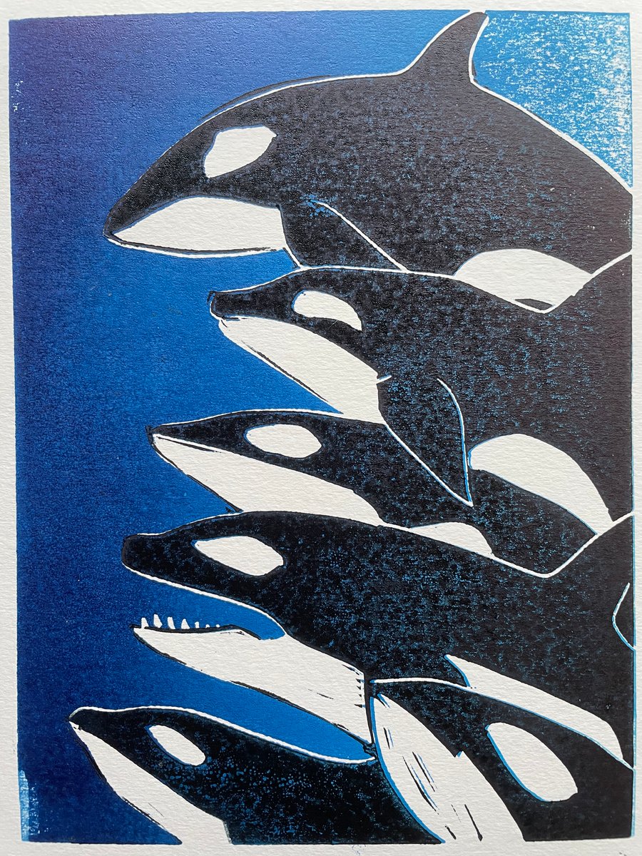School of Orca
