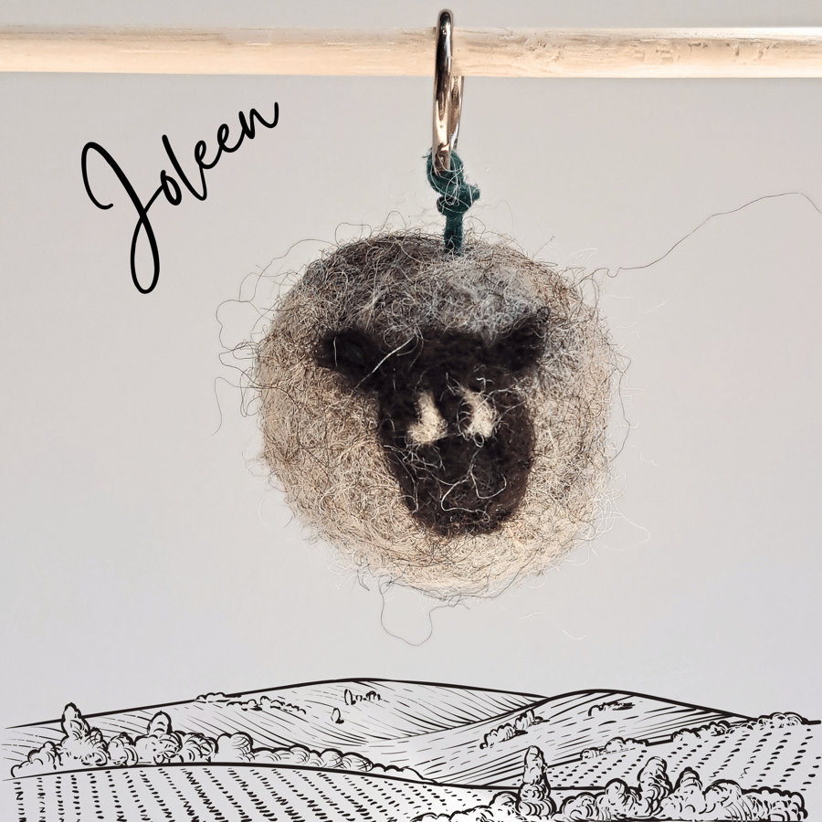 Joleen the Sheep keyring and a pocket-sized stress buddy S