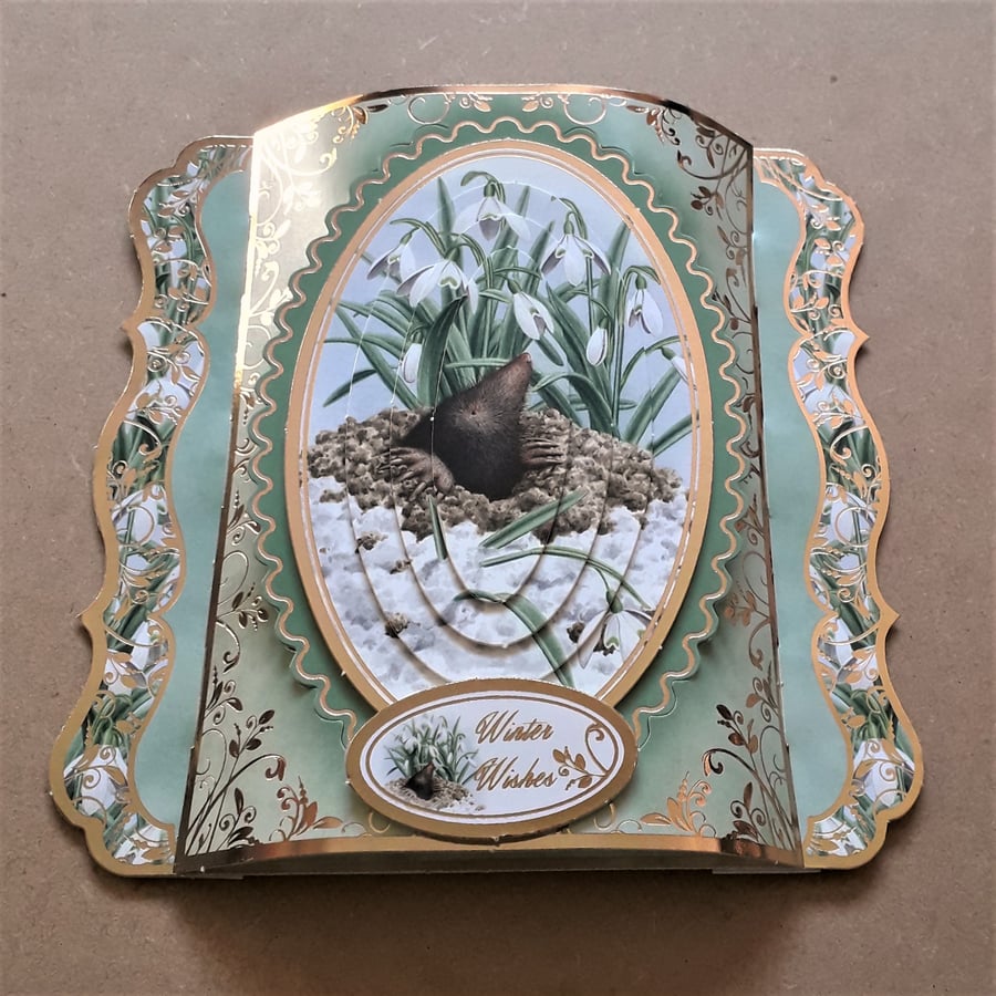 Unusual Mole Christmas Card