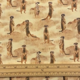 Fat Quarter African Safari Meerkats In The Wild Allover Cotton Quilting Fabric