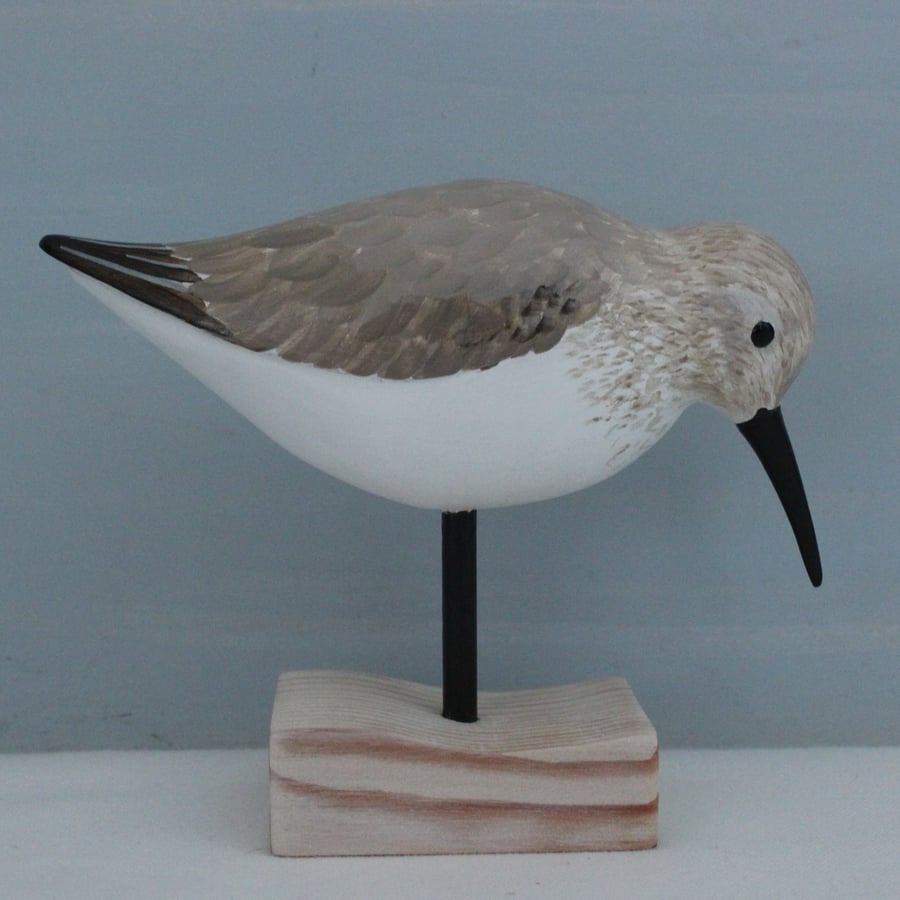 Dunlin