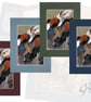 CJ002 - Ringed Teal preening - Image 1