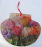 Decoupaged tulip flat scallop shell wall decoration - Image 2
