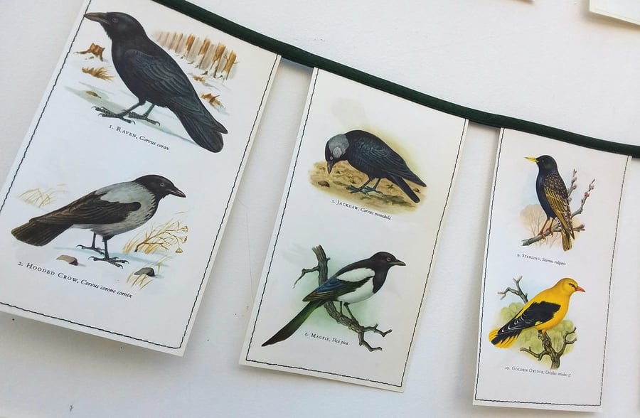 Book bunting - birds (dark green)