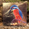 The Kingfisher