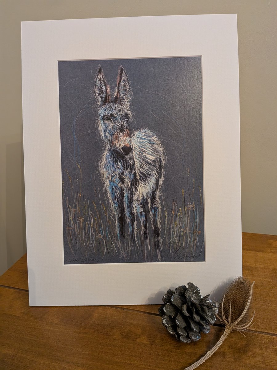Little Donkey, An A4 or A3 print of an original drawing