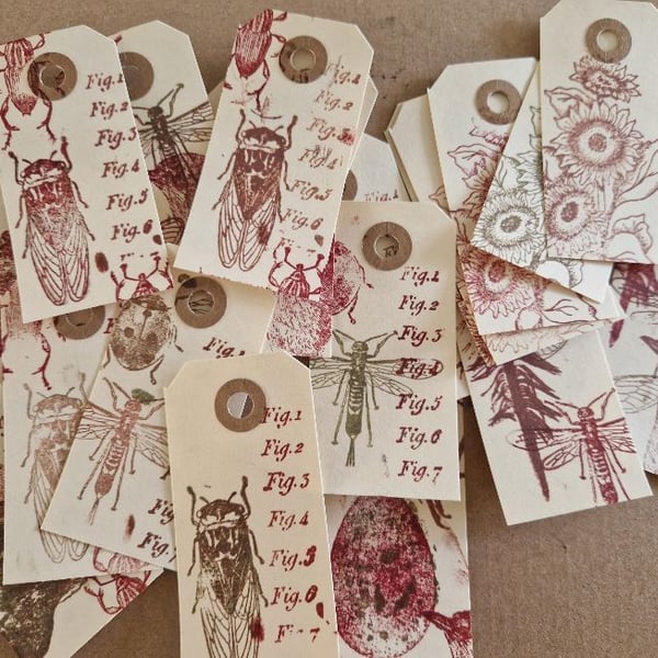 20 Hand stamped Insect Entomology Bird and Naturalist Manila tags for crafting, 