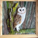 Barn owl needle felted in a mixed media picture.