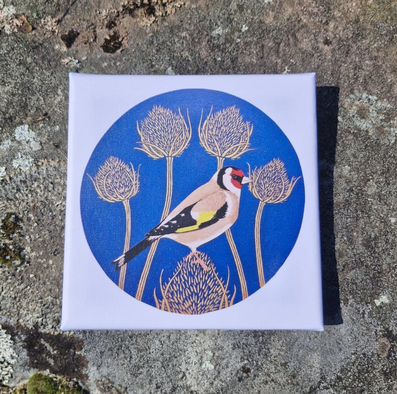 Goldfinch on Teasels Canvas Print 