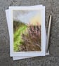 Sorrell. Blank Card Original Watercolour Wildflowers 260177