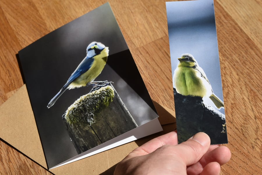 Blue Tit Greeting Card & Bookmark Set - Original Nature Photography
