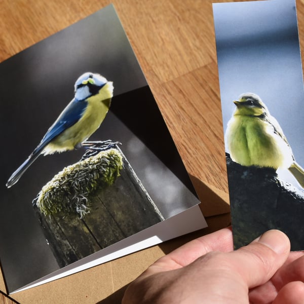 Blue Tit Greeting Card & Bookmark Set - Original Nature Photography