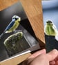 Blue Tit Greeting Card & Bookmark Set - Original Nature Photography