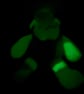 Light in the dark monster  - Image 4