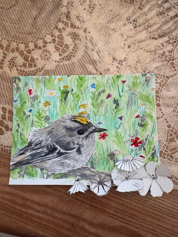 Goldcrest amongst the Wildflower meadow