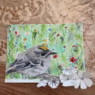 Goldcrest amongst the Wildflower meadow