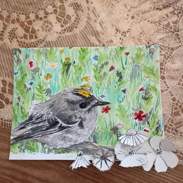 Goldcrest amongst the Wildflower meadow