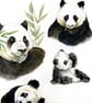Bamboo Family of Pandas Card - Image 3