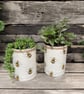 Boho Rustic Bee Handmade Recycled Eco-Friendly Indoor Kitchen Herb Gift Set - Image 2