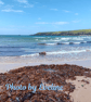 Whistling Sands Beach, Llyn Peninsula Large Photographic Card 7" x 5" Blank