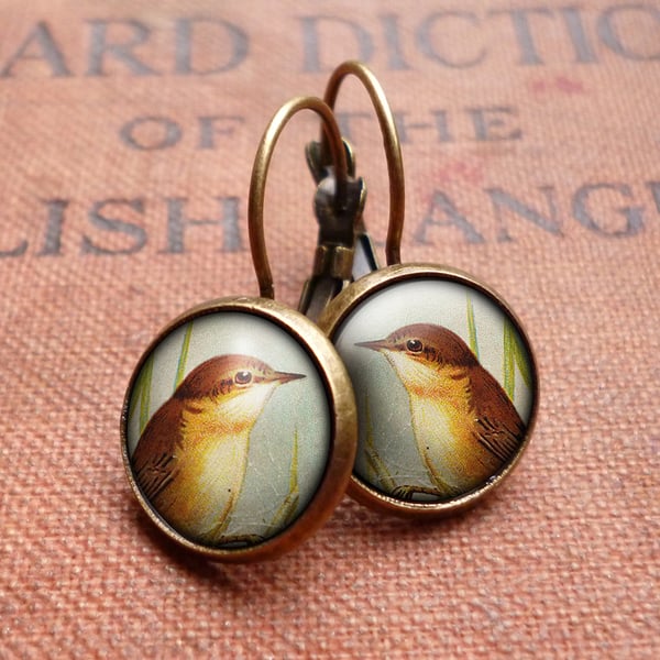 Reed Warbler Leverback Earrings (TB07)
