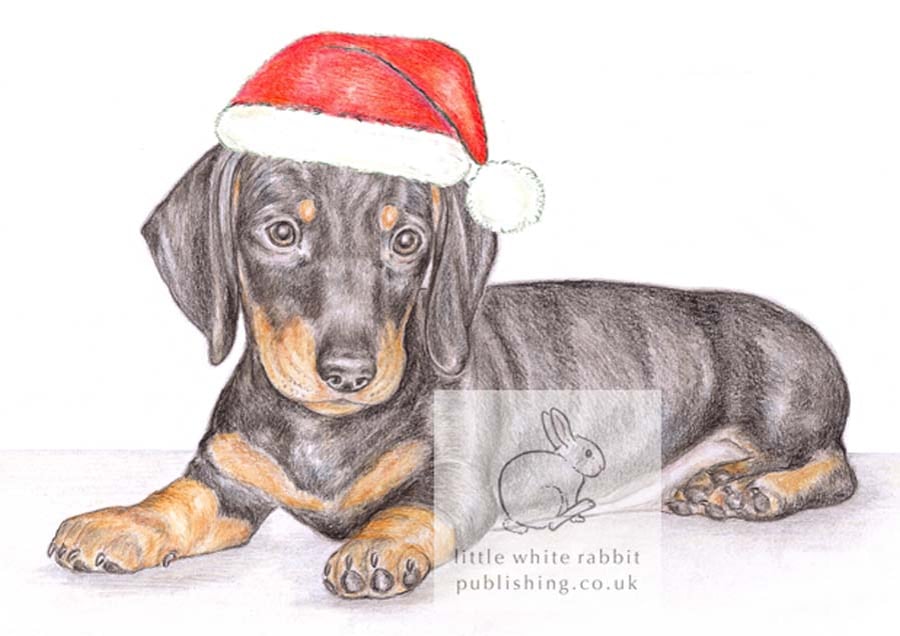 Henry the Dachshund - Christmas Hat Card