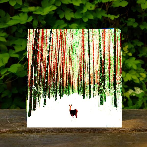  Deer in Wintry Forest, Christmas Card