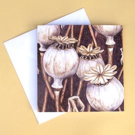 Greetings Card - Blank - Poppy Seed Heads