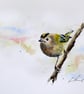 Goldcrest, Original Watercolour Painting. - Image 1