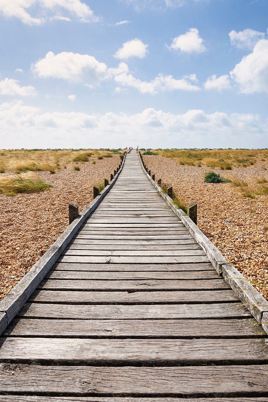 The boardwalk portrait print