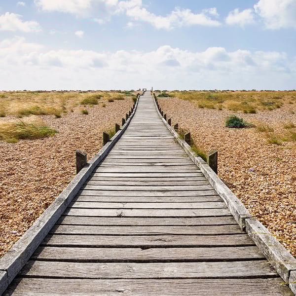 The boardwalk portrait print