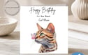 Pet lover cards