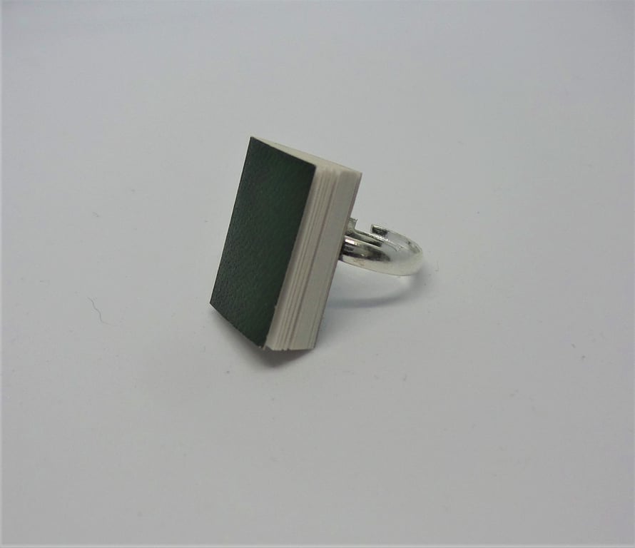 Cutest little book ring with actual pages